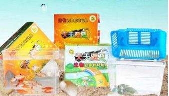 海洋生物产品与店铺装修 创新设计与生态美学的融合